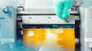 Solar Foods, la startup che vuole creare proteine dall’aria